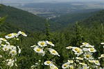 Panoráma a szerpentinrôl