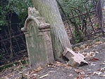 2003 LEGJOBB KÉPE A GCMALE-nál. Fotó: Csuhás 2003 LEGJOBB KÉPE A GCMALE-nál. Fotó: Csuhás