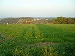 A torony és a rejtők :) A torony és a rejtők :)
