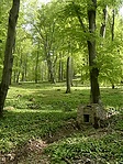 Forrás Forrás