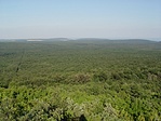 Háttérben Csopak és a Balaton