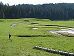 A Ponor-réten kacskaringózó Ponor patak