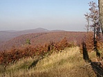 A hegy ÉNy-i oldaláról a Kámor