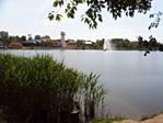 37. állomás: Gyopárosfürdő 37. állomás: Gyopárosfürdő