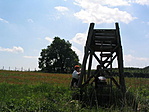 A szil 2007-ben A szil 2007-ben
