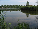 44. állomás: Mezőtúri-tó, Mezőtúr 44. állomás: Mezőtúri-tó, Mezőtúr