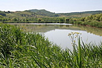 47. állomás: Kétbodony, horgásztó 47. állomás: Kétbodony, horgásztó
