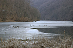 83. állomás: Lillafüred, Hámori-tó 83. állomás: Lillafüred, Hámori-tó