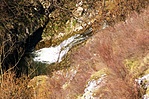 Zubog�