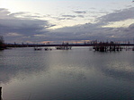 90. állomás: Szihalom City bányató 90. állomás: Szihalom City bányató