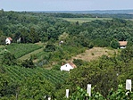 Panoráma