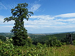 Kilátás Kilátás