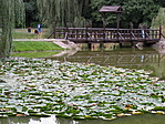 116. állomás: Debrecen Békás-tó 116. állomás: Debrecen Békás-tó