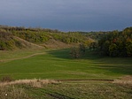 Panoráma