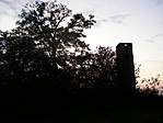 A torony és rejtekadó fa(balról)