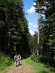 Mi így szoktunk feljutni Mi így szoktunk feljutni