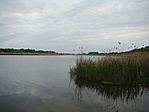 197. Szelidi-tó, Dunapataj