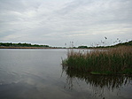 197. Szelidi-tó, Dunapataj 197. Szelidi-tó, Dunapataj