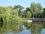 215. állomás: Békás-tó, Debrecen 215. állomás: Békás-tó, Debrecen