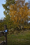 2011.10.30 - Szépalma 2011.10.30 - Szépalma