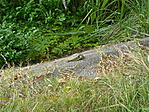 Ilyen is van a Tócóban Ilyen is van a Tócóban