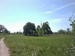 2012.05.05. Kisvásárhely közelében 2012.05.05. Kisvásárhely közelében