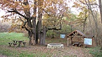 Kajárpéc, Hatos-tölgy Kajárpéc, Hatos-tölgy