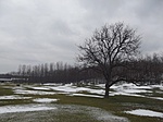 A golfpálya télen