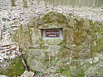 Dérvölgyi-forrás Dérvölgyi-forrás