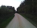 2013.04.25. váti erdő 2013.04.25. váti erdő