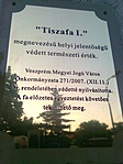 Veszprém, 200 éves tiszafa