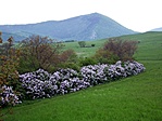 Panoráma Panoráma