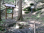 85. BORHA FORRÁS 85. BORHA FORRÁS