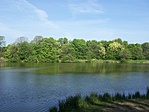 397. Bükkösd, horgásztó 397. Bükkösd, horgásztó