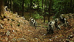 A "sziklakapu" A "sziklakapu"
