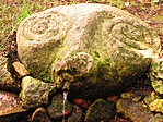111. Disznó-forrás (Solymár) 111. Disznó-forrás (Solymár)