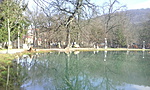 434. állomás: Felsőtárkányi tó 434. állomás: Felsőtárkányi tó