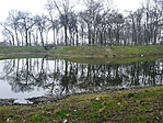 Anarcs, Teknősbékás-tó Anarcs, Teknősbékás-tó