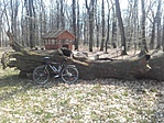 2016.03.27 Farkaserdő 2016.03.27 Farkaserdő