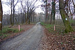 Parkoló Parkoló
