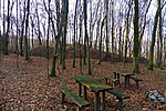 Várrom Várrom