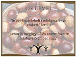 Oklevél Oklevél