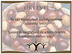 Oklevél