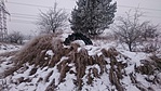 A pálya ma is látható nyomai A pálya ma is látható nyomai