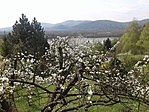 Verőce-Felvég - tavaszi kilátás