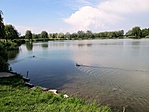 489. Hegyeshalom, Stettni-tó 489. Hegyeshalom, Stettni-tó