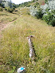 Ezért is ritkák a jelzések Ezért is ritkák a jelzések