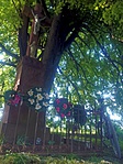 PIC_20170516_182101 PIC_20170516_182101