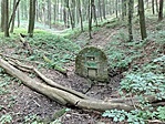 174. Eszter-forrás, Bükk 174. Eszter-forrás, Bükk