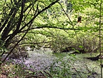 IMG_1935 IMG_1935